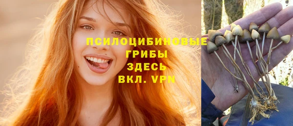 гашиш Белокуриха