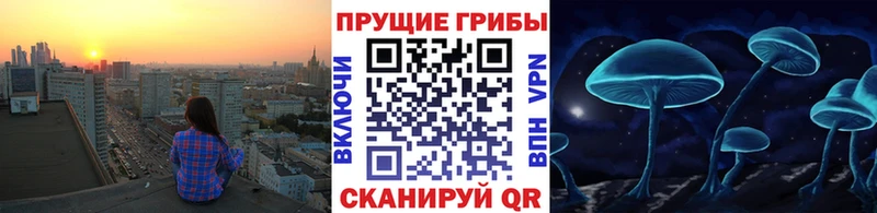 закладка Демидов Псилоцибиновые грибы Magic Shrooms